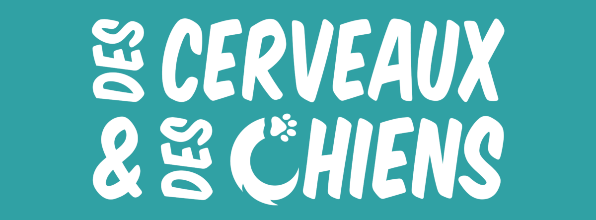 Consultante en comportement canin et neurobiologie du comportement