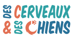 Consultante en comportement canin et neurobiologie du comportement